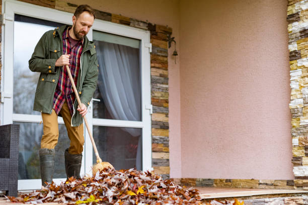 Attic Cleanout Services in Paden City, WV
